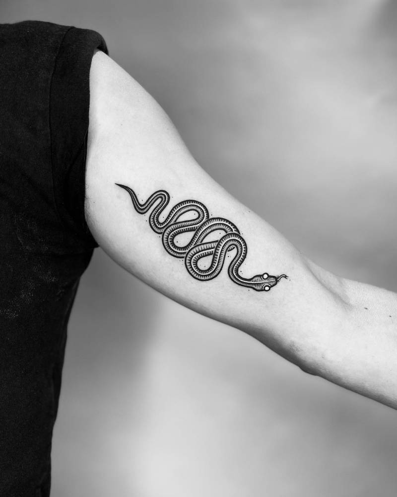 'The Snake Stripes'.