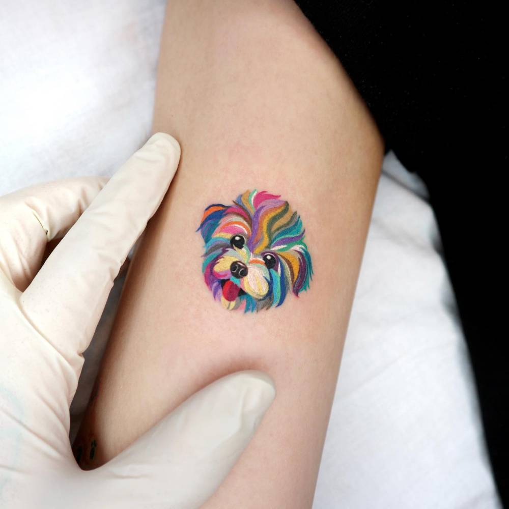 Shih Tzu portrait tattoo in pop art style done on the tricep.