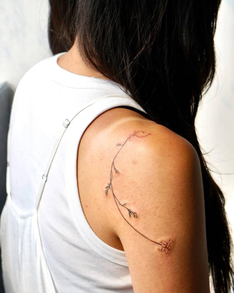 Watercolor style chamomile flower tattooed on the shoulder.