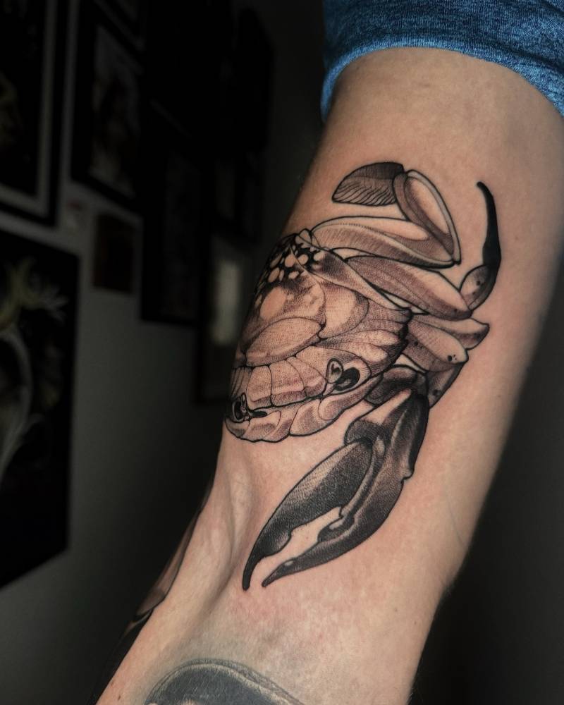 Neotraditional style crab tattoo done on the inner arm.
