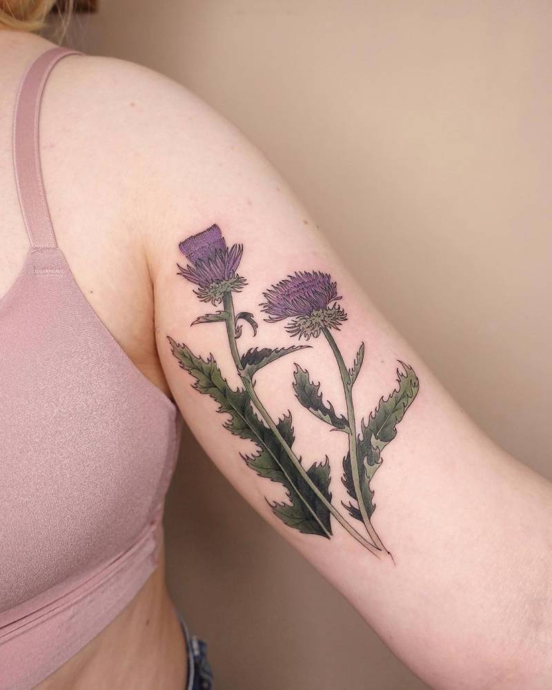 Thistle tattoo done on the inner arm, illustrative style.