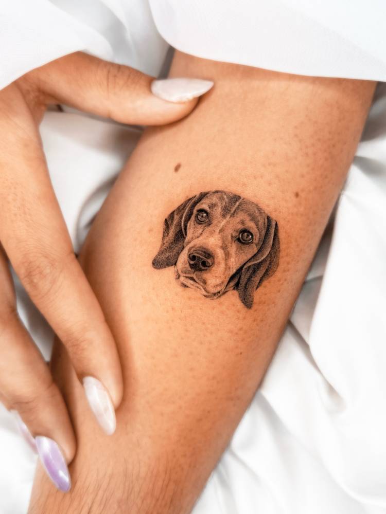 Beagle portrait tattoo in micro-realistic style located on the forearm.