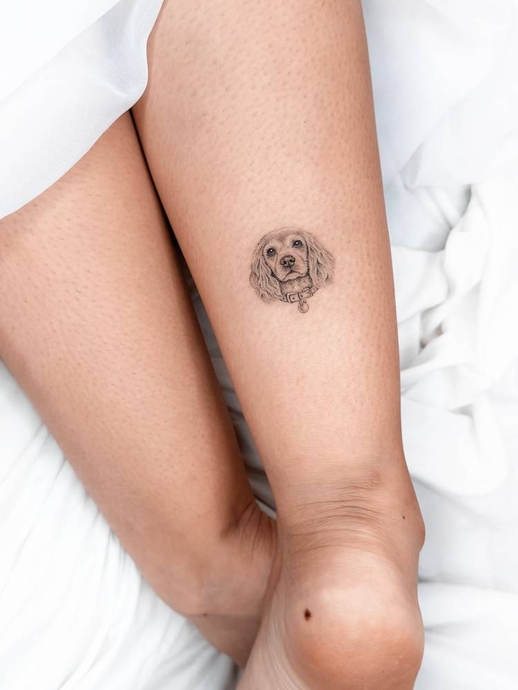 Cocker Spaniel portrait tattoo done on the Achilles, micro-realistic style.