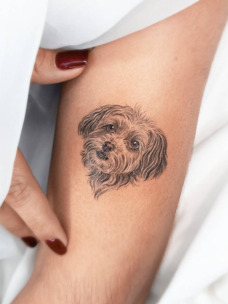Yorkshire Terrier portrait tattoo located on the upper arm.