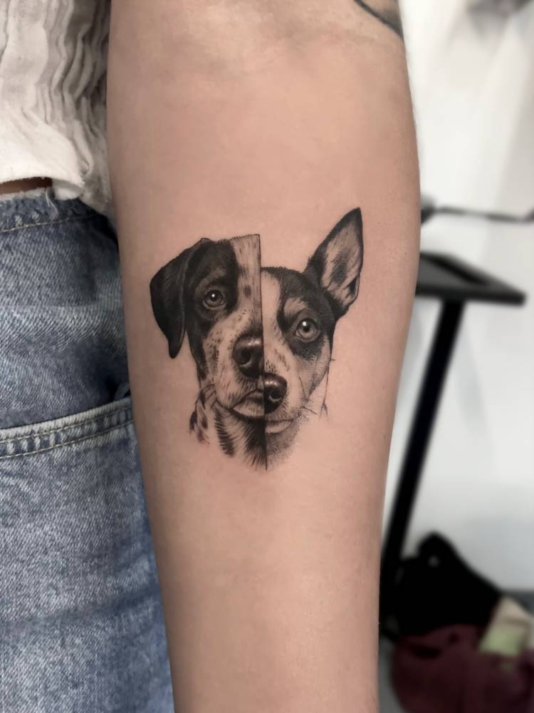 Jack Russell portrait tattoo in black and grey style located on the inner forearm.