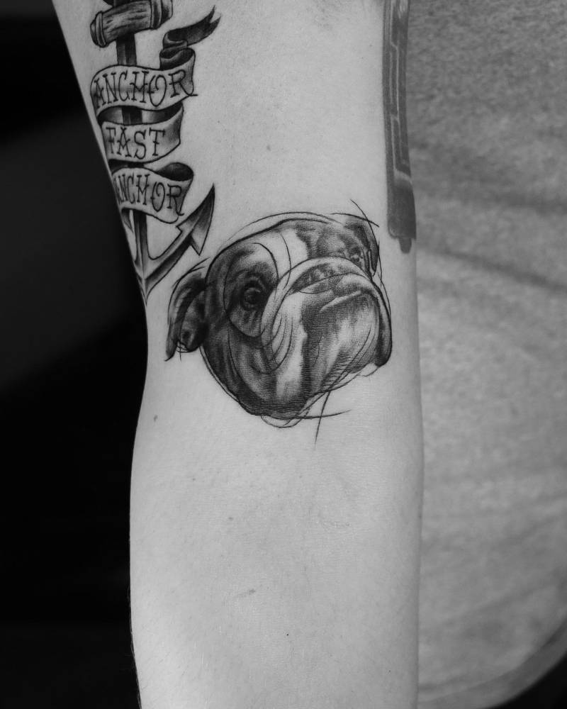 Sketch work style bulldog portrait tattoo located on the bicep.