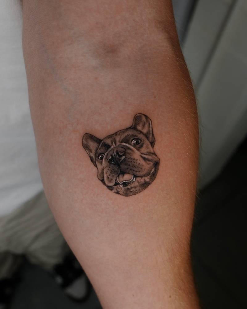 Illustrative style French Bulldog portrait tattoo located on the inner forearm.