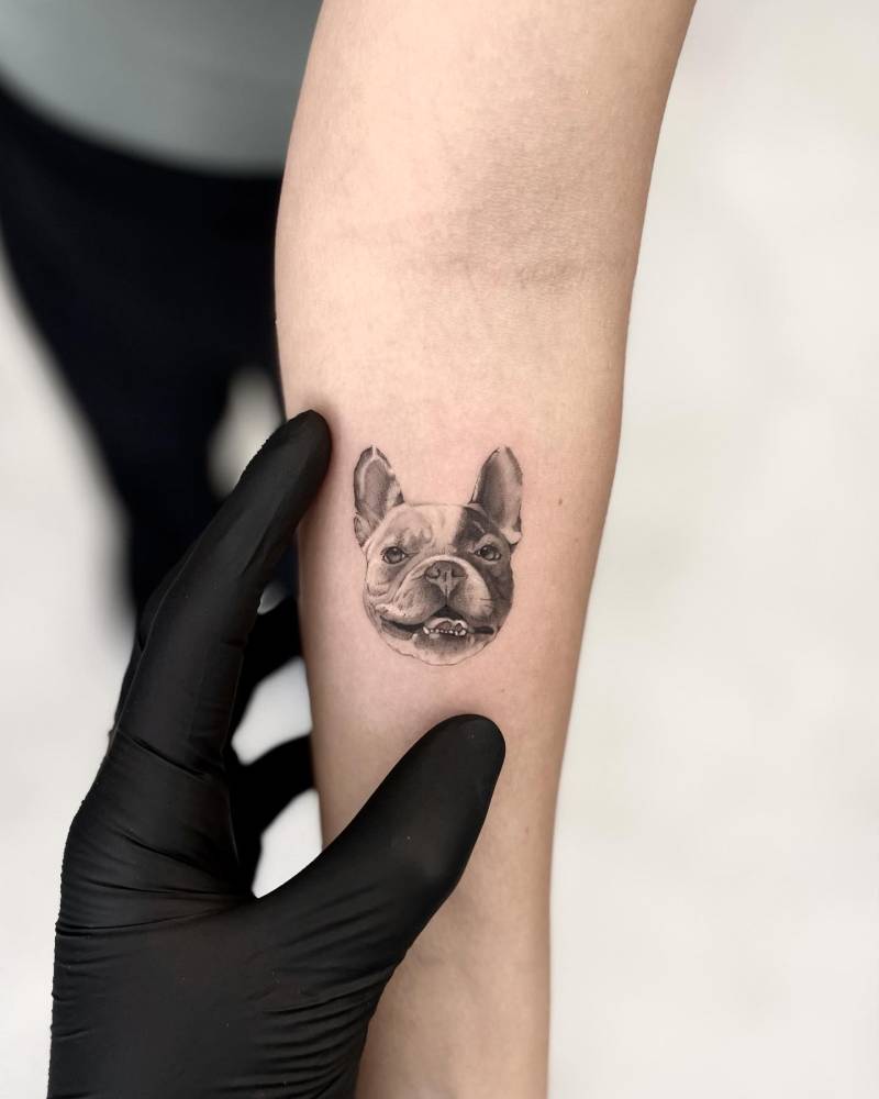 Micro-realistic style French Bulldog portrait tattoo located on the inner forearm.