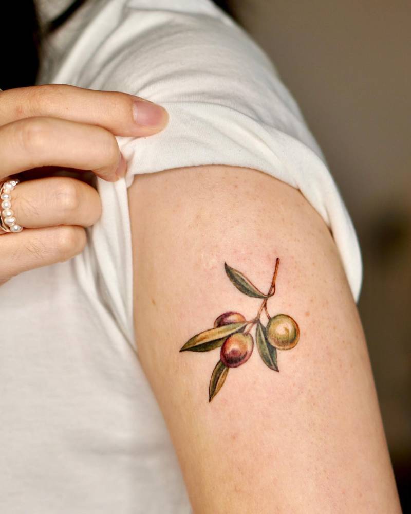 Olive branch tattoo located on the upper arm, watercolor style.