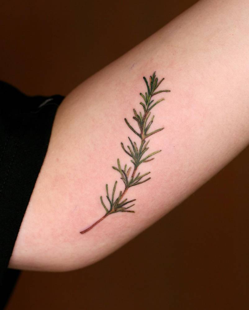 Watercolor style rosemary tattoo done on the inner forearm.