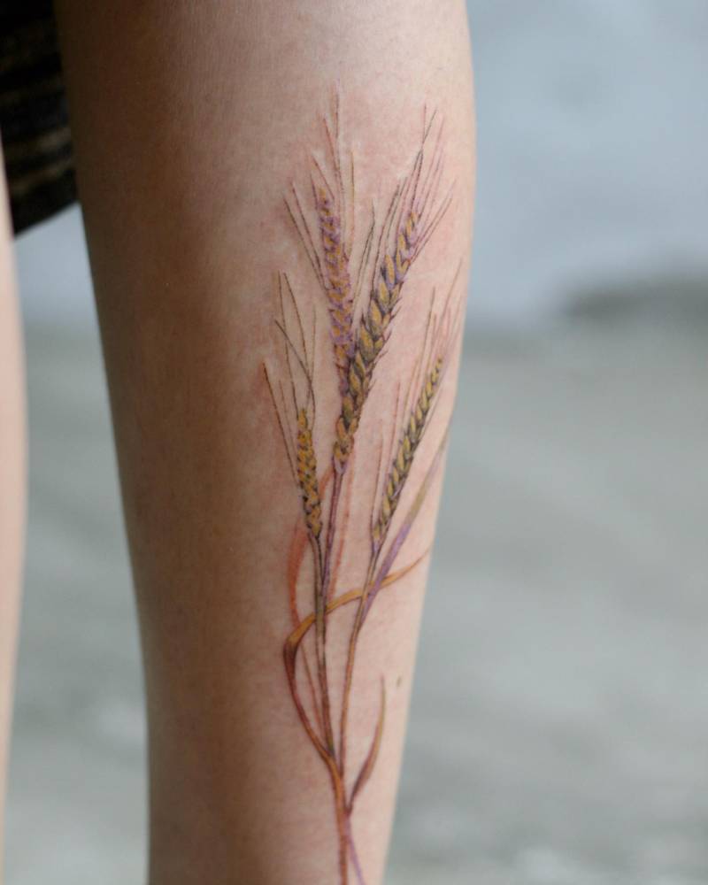 Barley tattoo in watercolor style located on the calf.