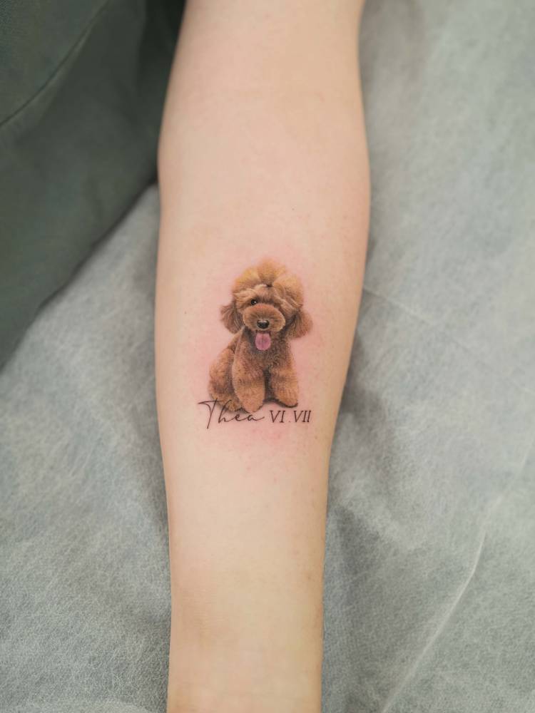 Micro-realistic style Poodle tattoo located on the inner forearm.