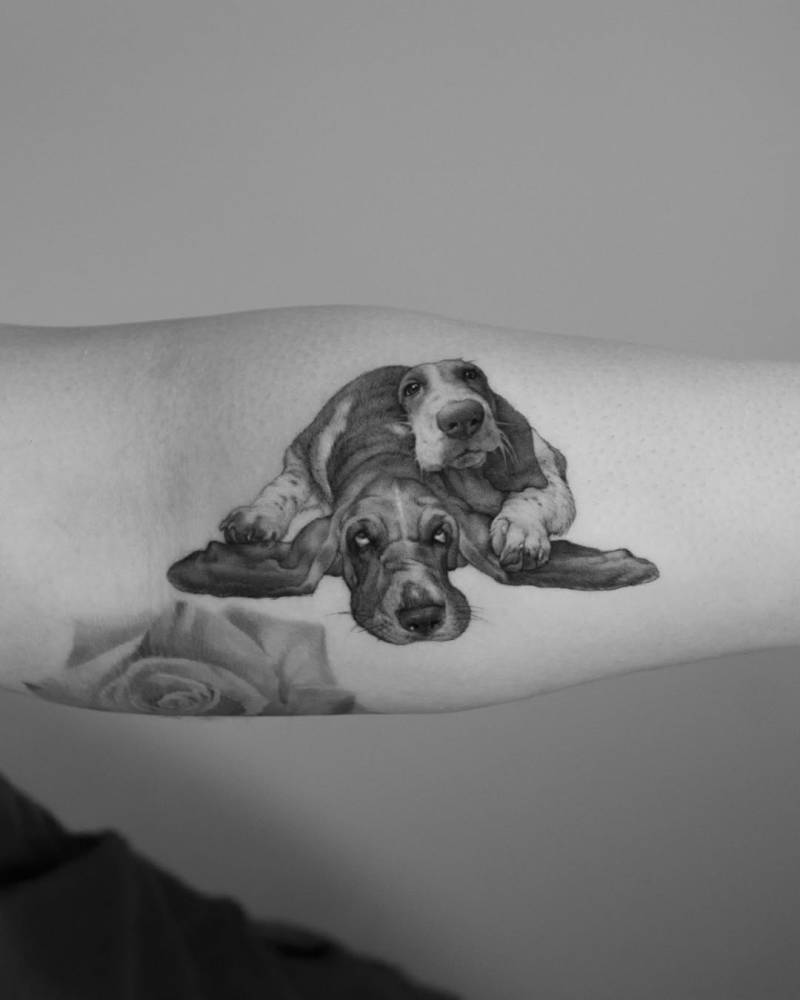 Basset Hound tattoo located on the inner forearm, micro-realistic style.