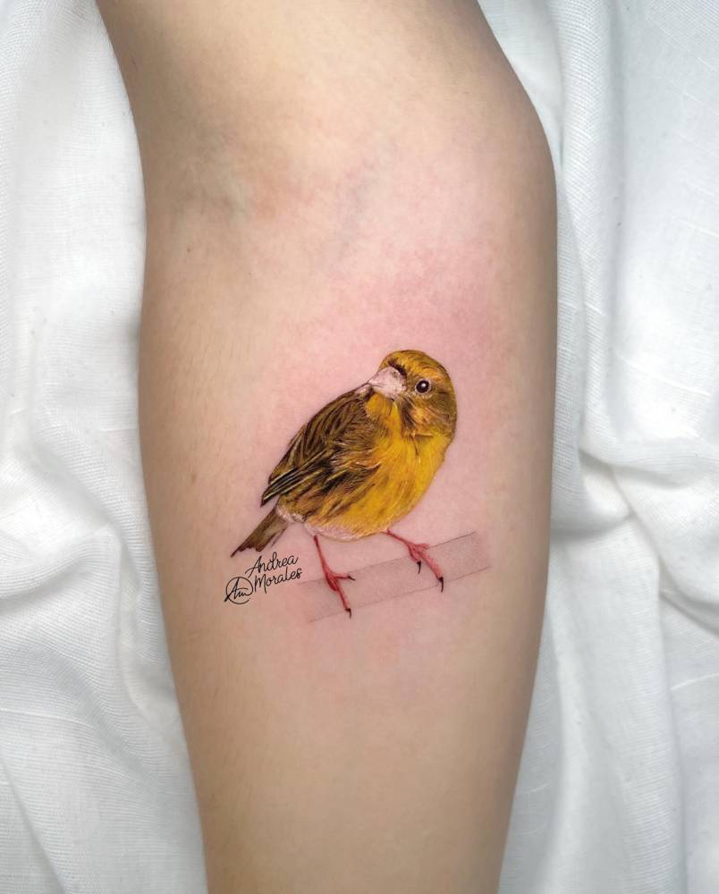 Canary tattoo in micro-realistic style placed on the inner forearm.