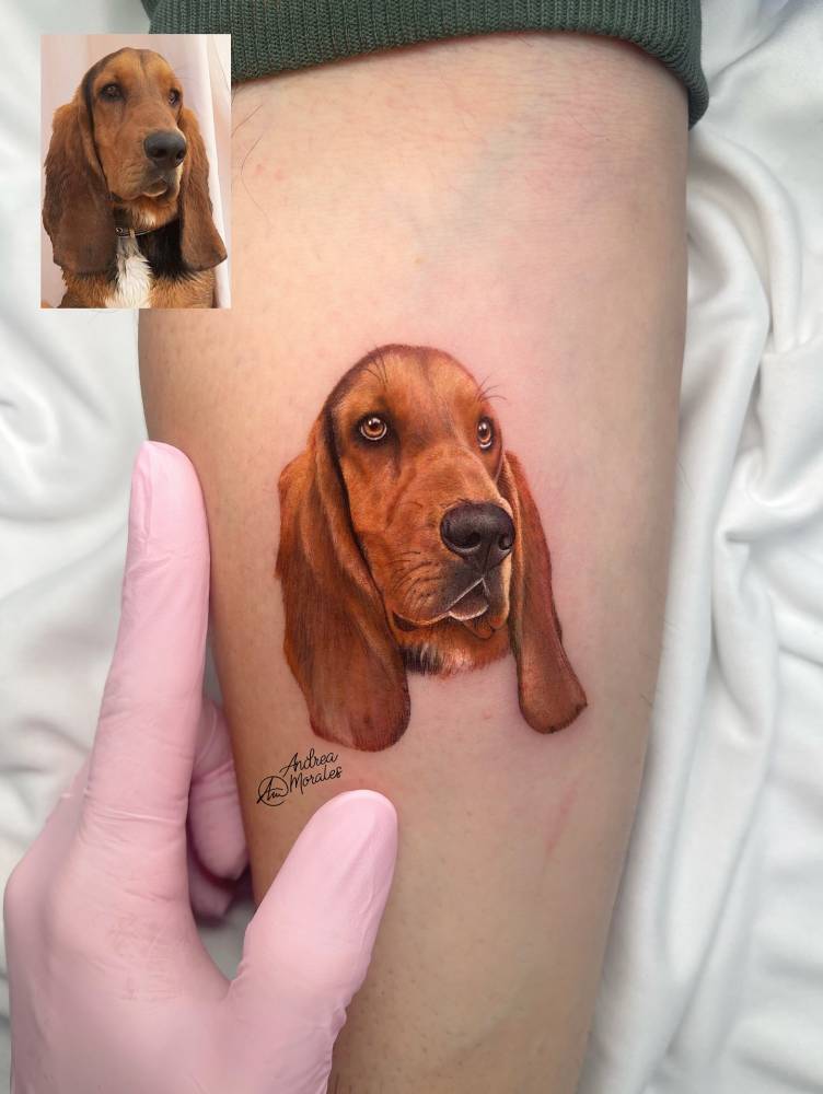 Basset Hound portrait tattooed on the inner forearm.