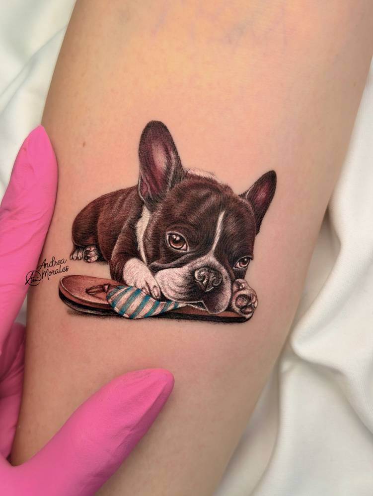 Boston Terrier portrait tattoo located on the inner forearm.
