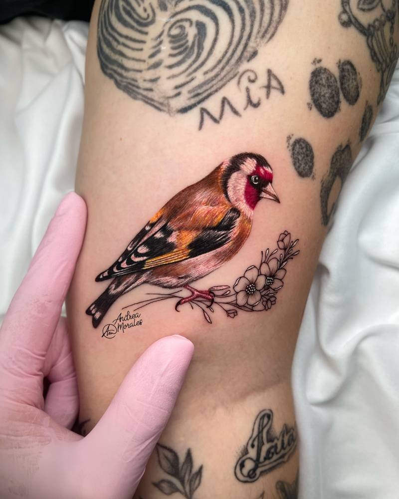 Micro-realistic style goldfinch gap filler tattoo done on the inner arm.