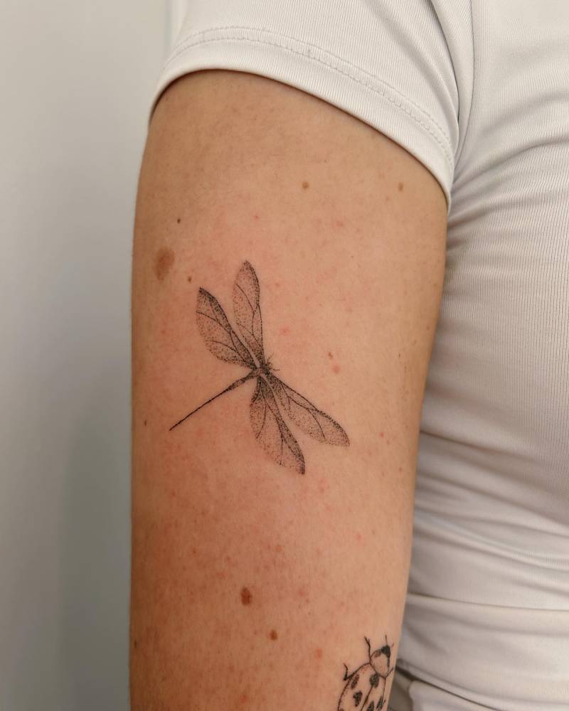 Hand poked dragonfly tattoo done on the upper arm.