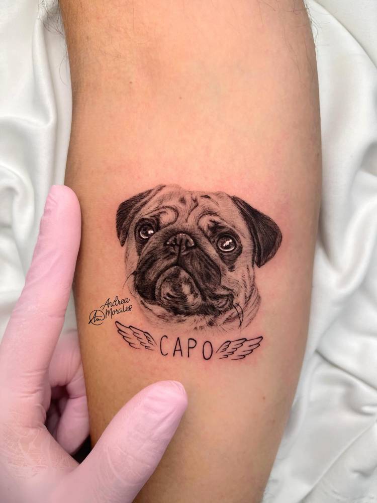 Memorial Pug portrait tattoo in micro-realistic style.
