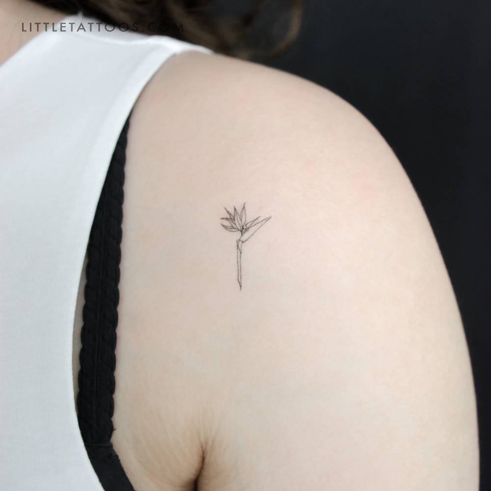 Bird of Paradise Flower Temporary Tattoo
