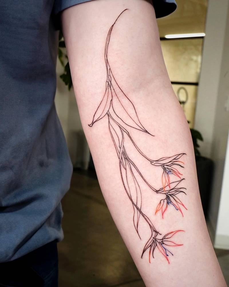 Bird of paradise flowers tattooed on the inner forearm.
