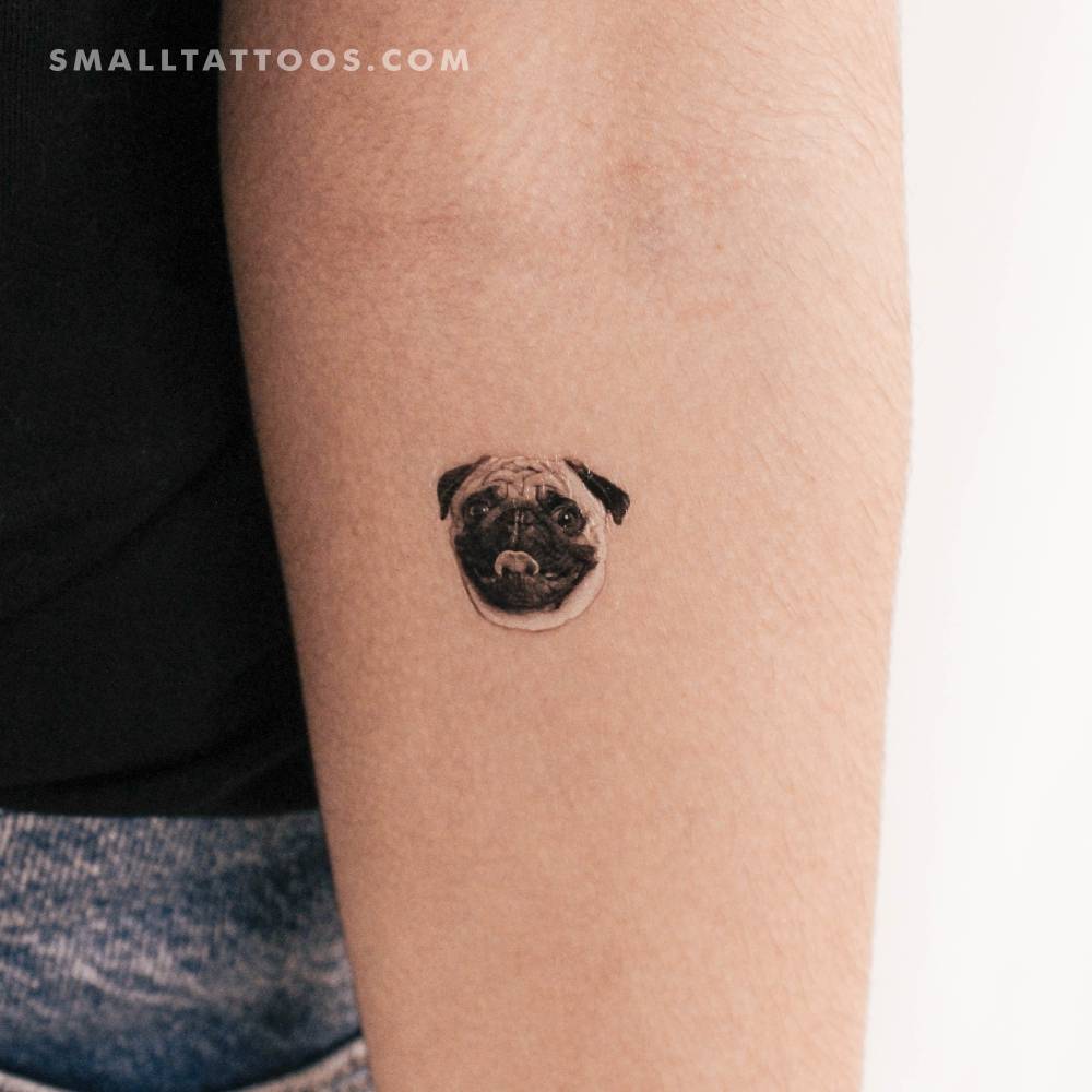 Pug Portrait Temporary Tattoo