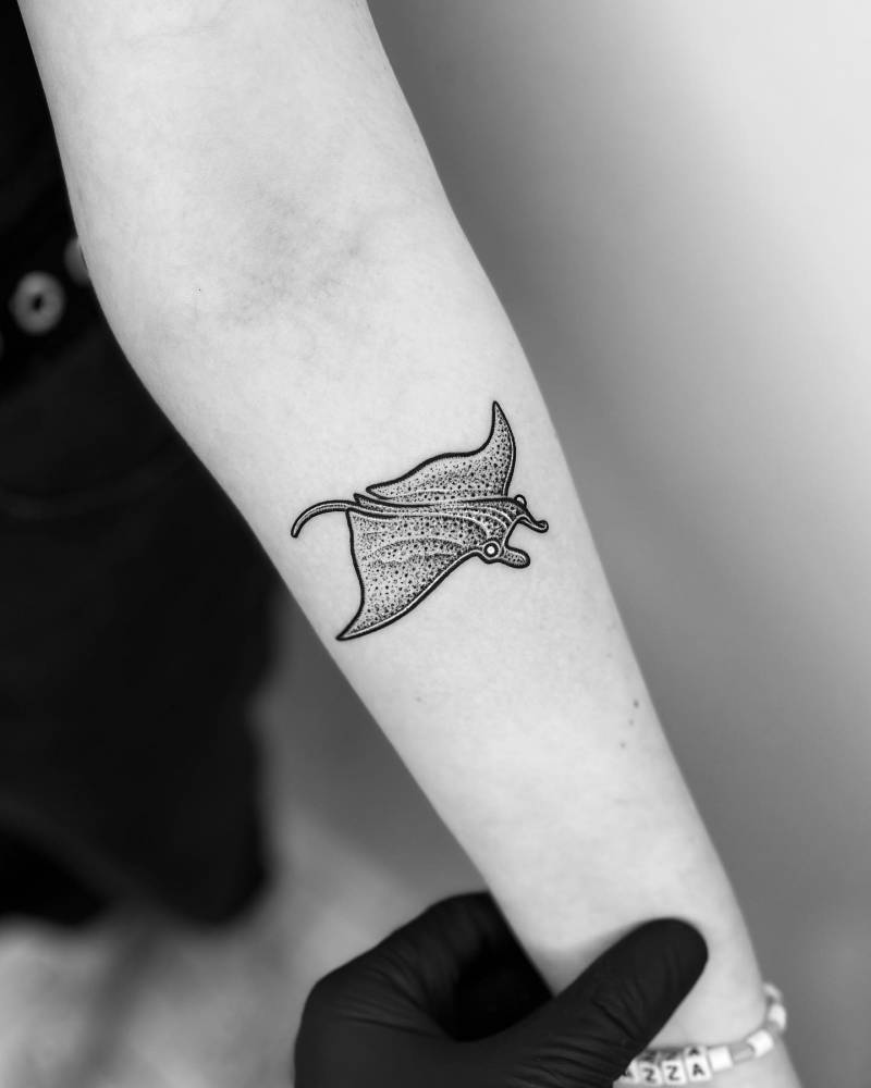 'The Mystery Manta'.