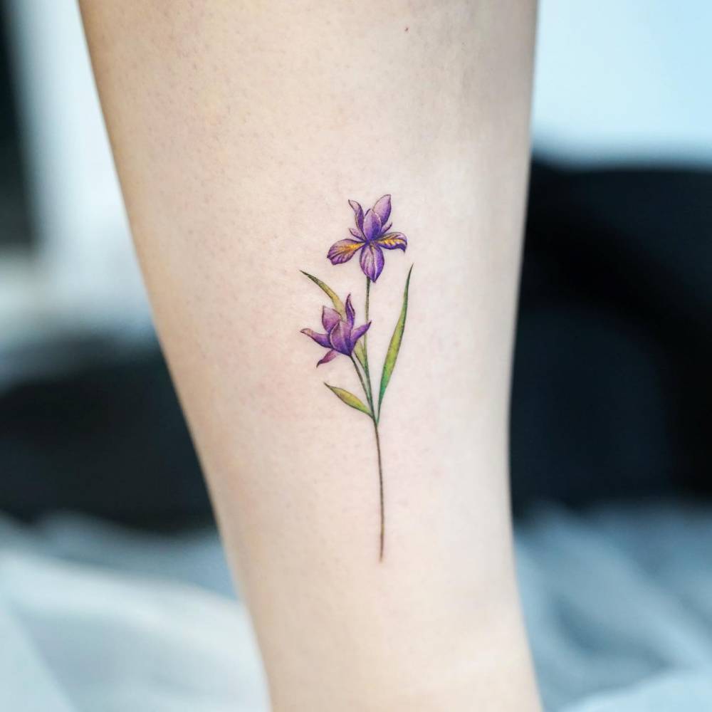 Watercolor style viola flower tattoo located on the shin.
