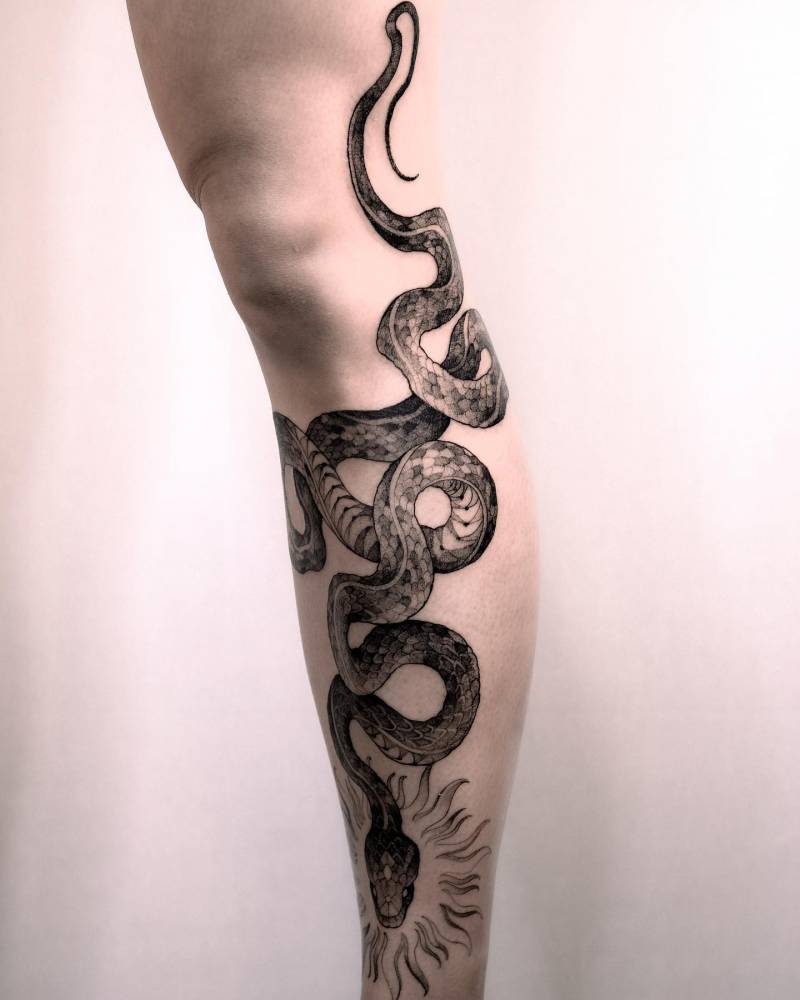 Snake tattoo located on the leg, illustrative style.