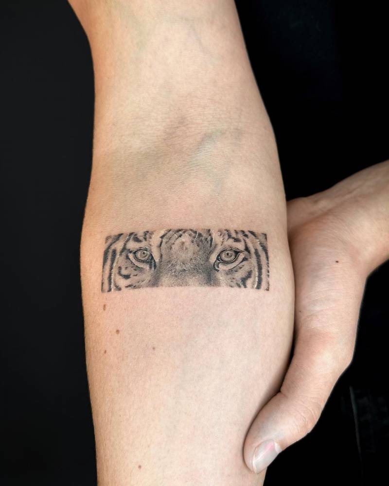 La mística, profundidad e imponencia de esta mirada, que hermosos son los tigres.