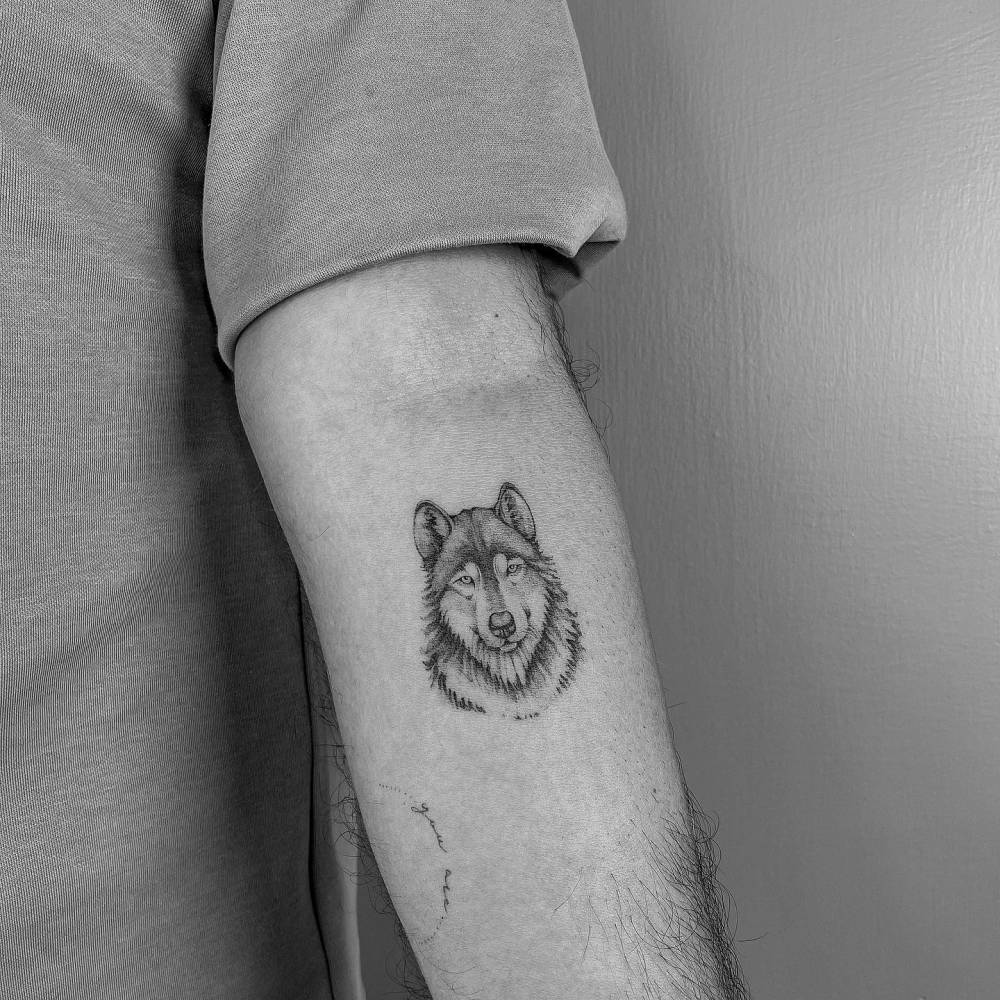 Wolf portrait tattoo located on the inner forearm, illustrative style.