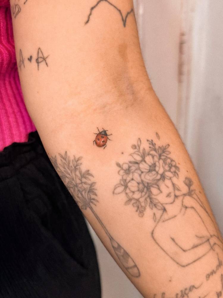 Little ladybug tattoo placed on the inner forearm, illustrative style.