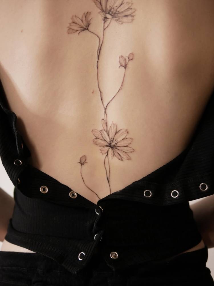 Chicory flowers tattoo located on the spine.