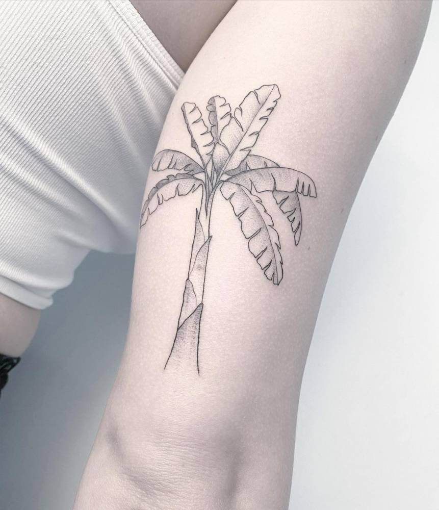 Fine line banana plant tattoo on the tricep.