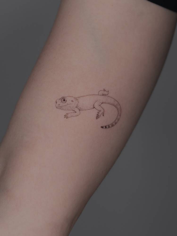 Single needle gecko tattoo located on the inner arm.