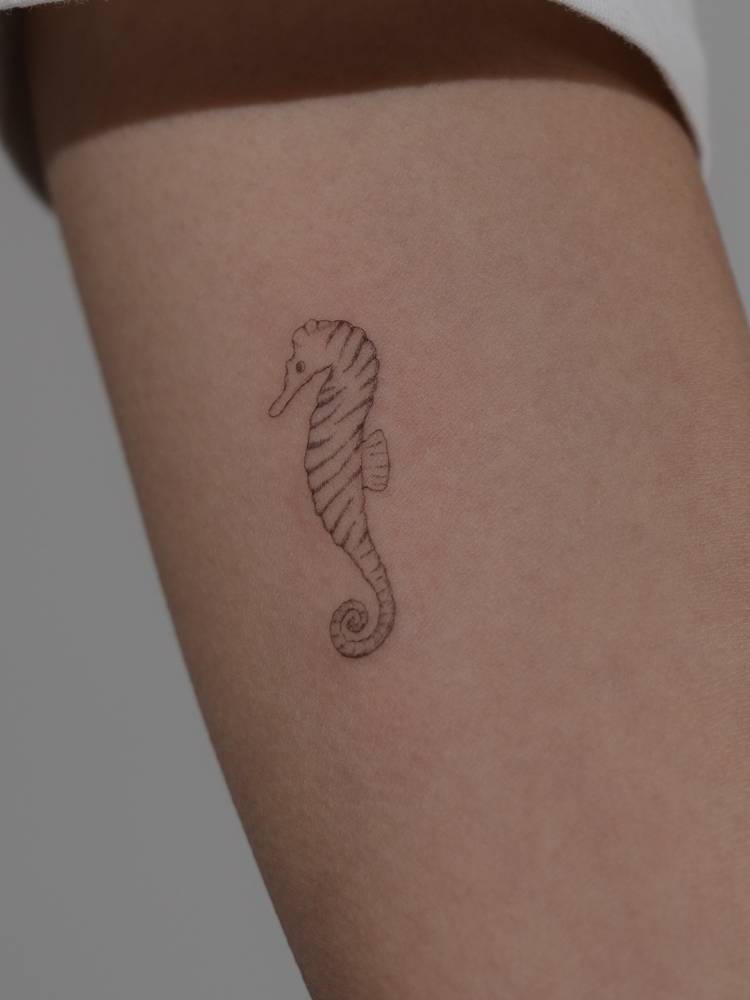 Single needle seahorse tattoo located on the inner arm.