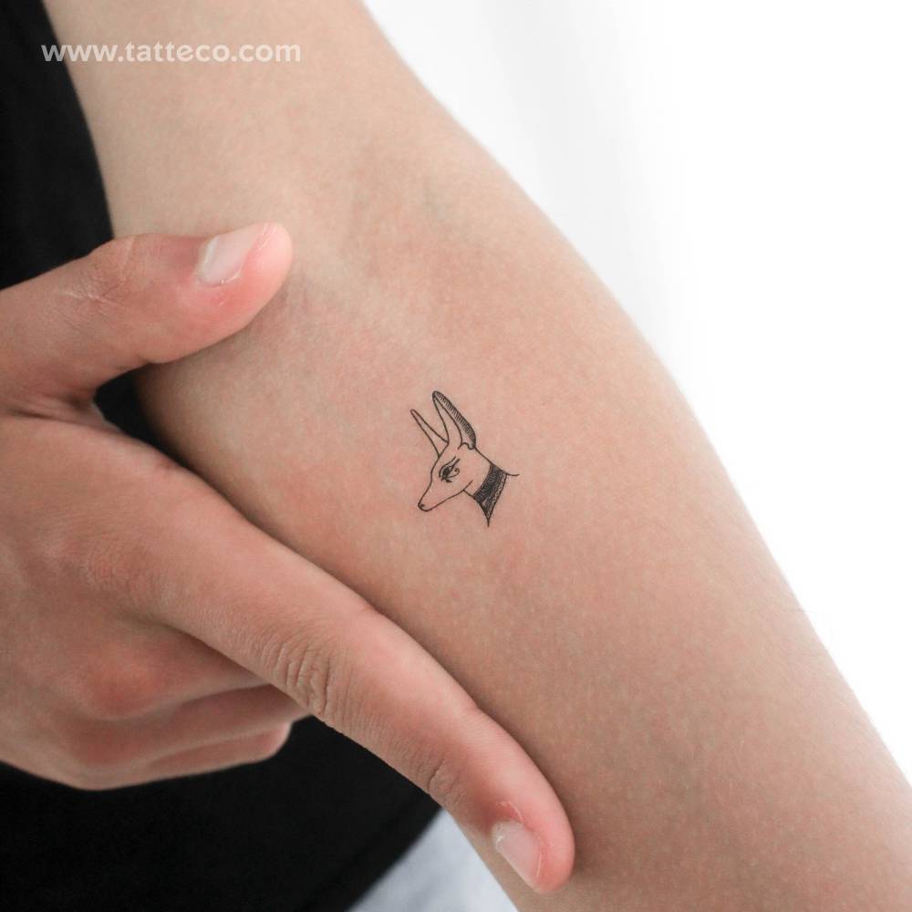 Minimalistic style Anubis temporary tattoo located on the inner forearm.