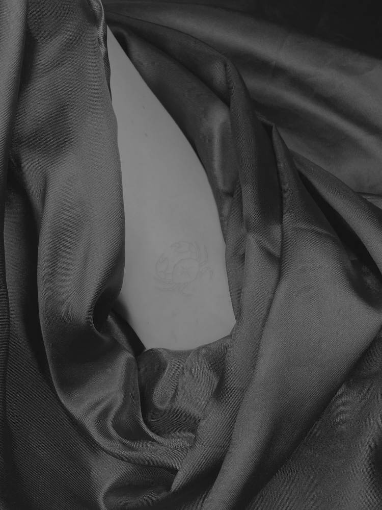 Fine line style crab tattoo located on the inner arm.