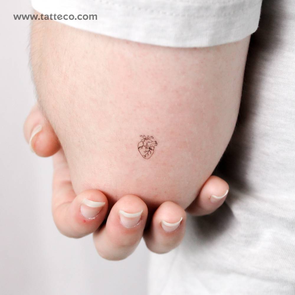 Little fine line anatomical heart temporary tattoo.