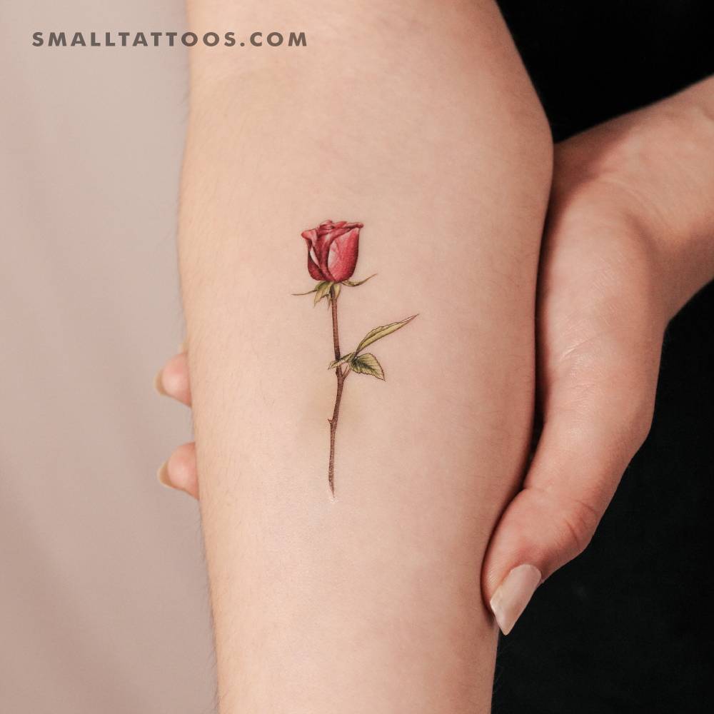 Garnet rose temporary tattoo by Mini Lau.