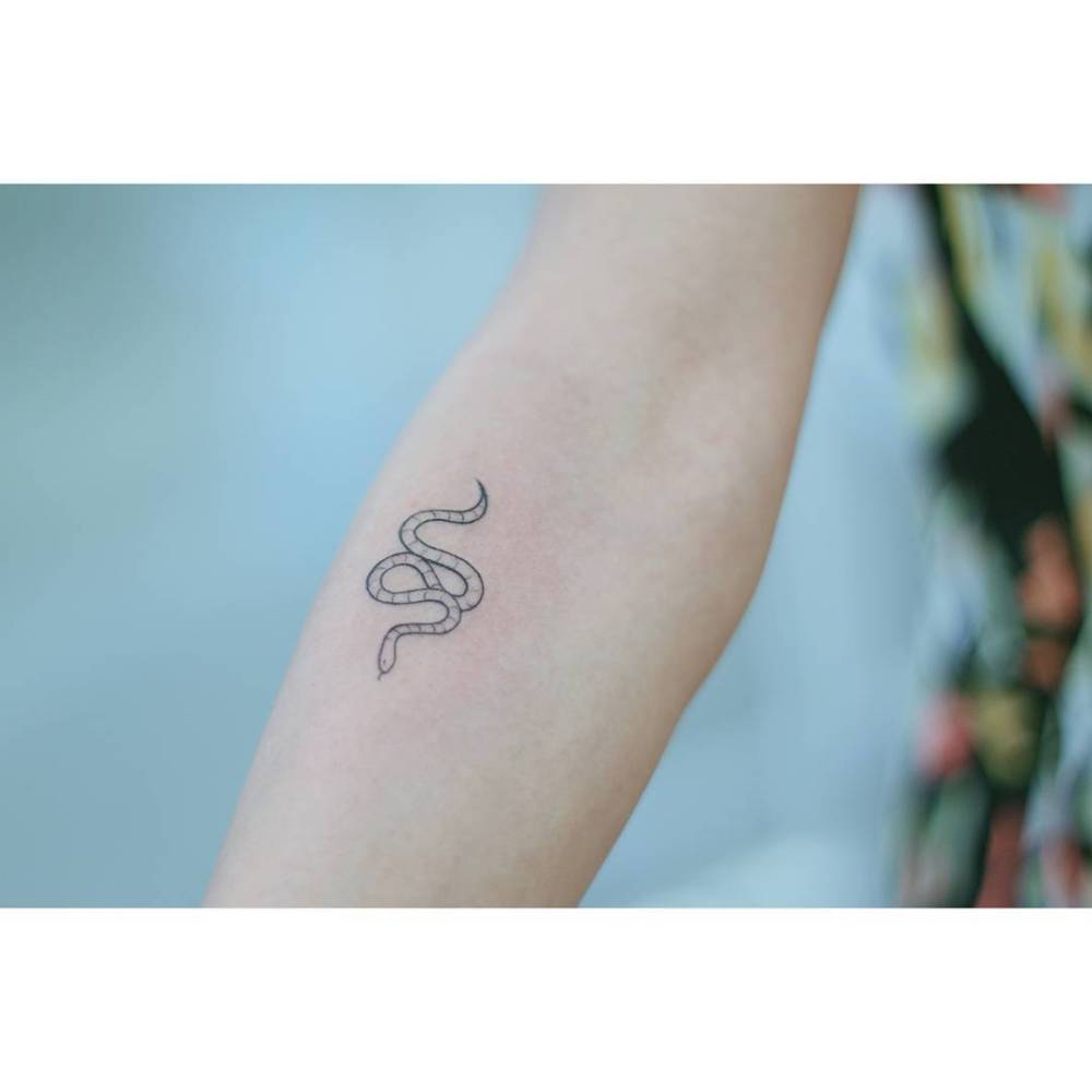 Fine line snake tattoo placed on the inner forearm.