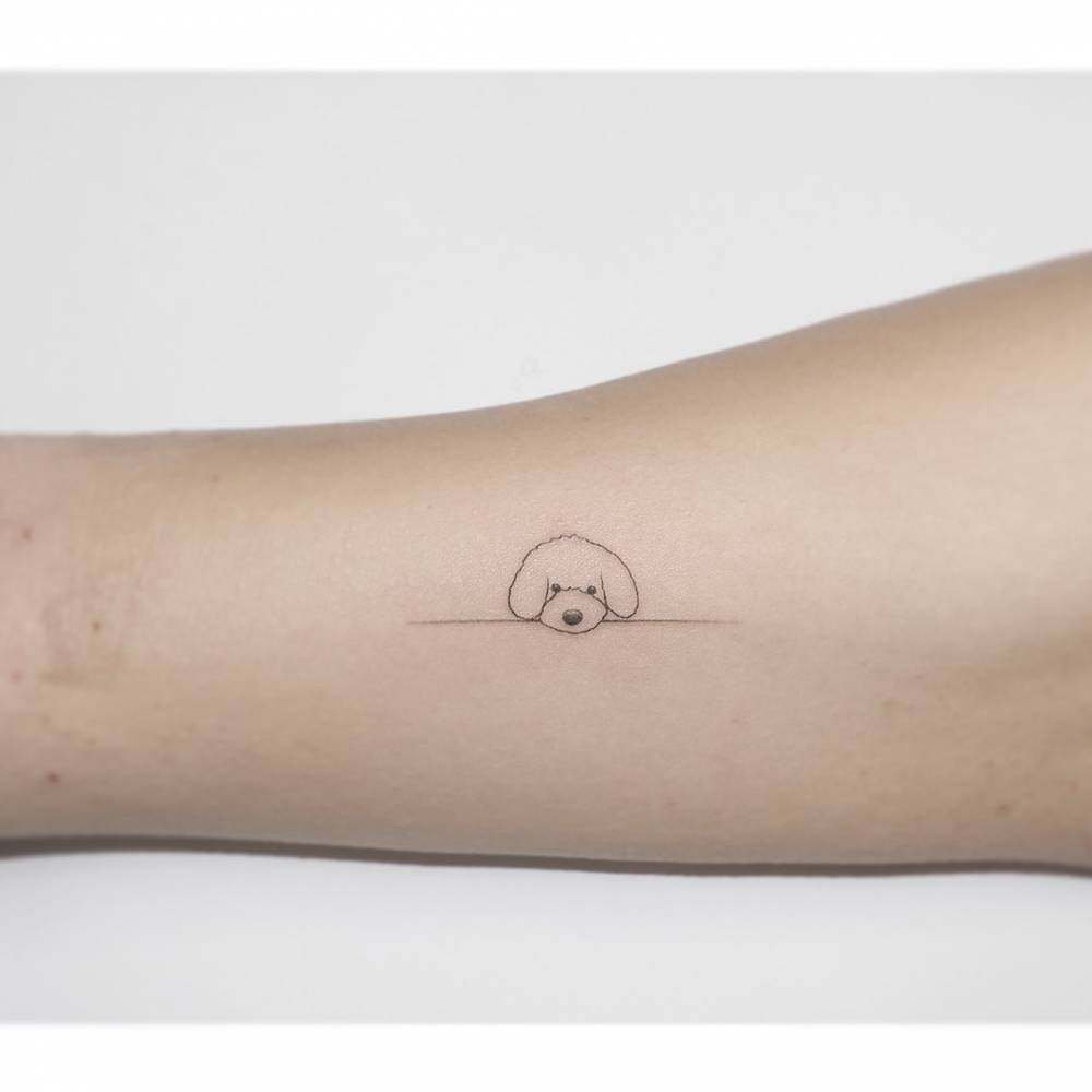 Poodle portrait tattoo in minimalistic style located on the inner arm.