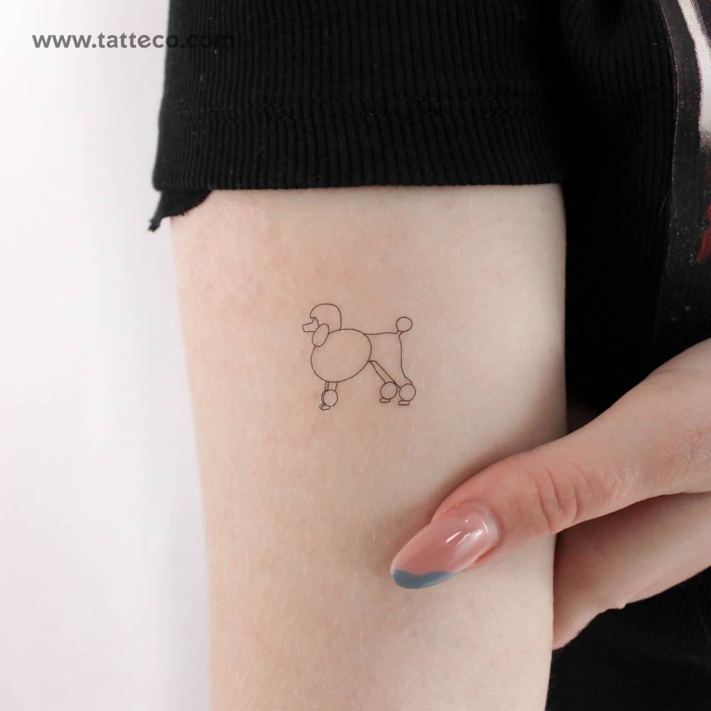 Poodle Temporary Tattoo