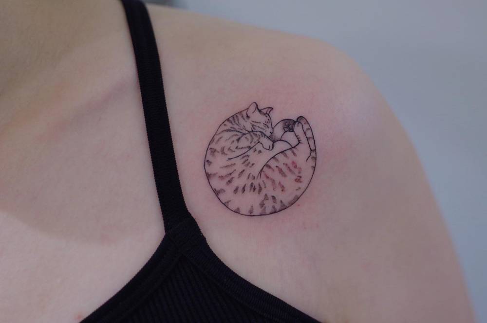 Sleeping cat tattoo in illustrative style located on the shoulder.