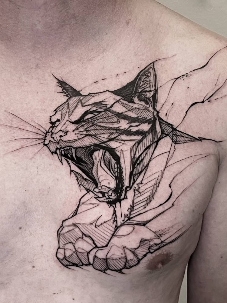 Don’t mess with cats.