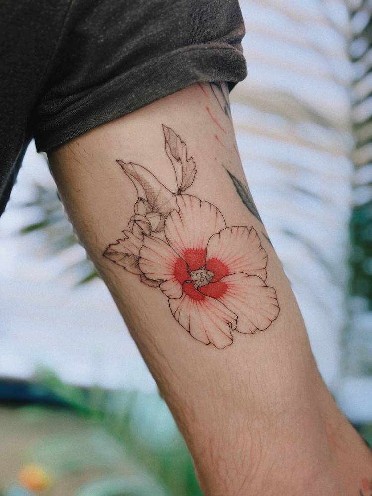 Rose of Sharon tattoo located on the inner arm, illustrative style.