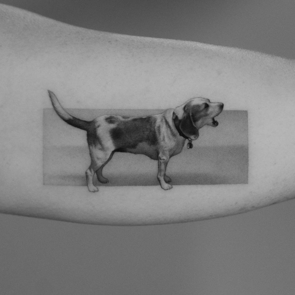 Beagle tattoo in micro-realism located on the inner arm.