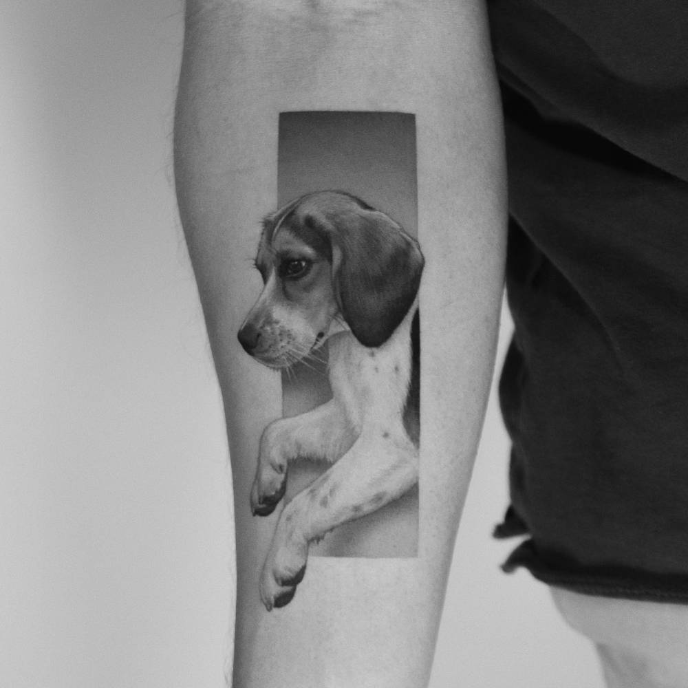 Beagle portrait tattoo in micro-realism located on the inner forearm.
