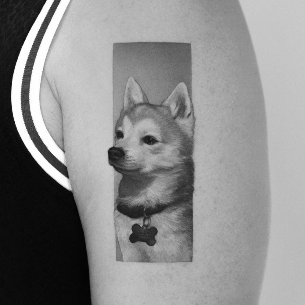 Shiba Inu portrait in micro-realism tattooed on the upper arm.
