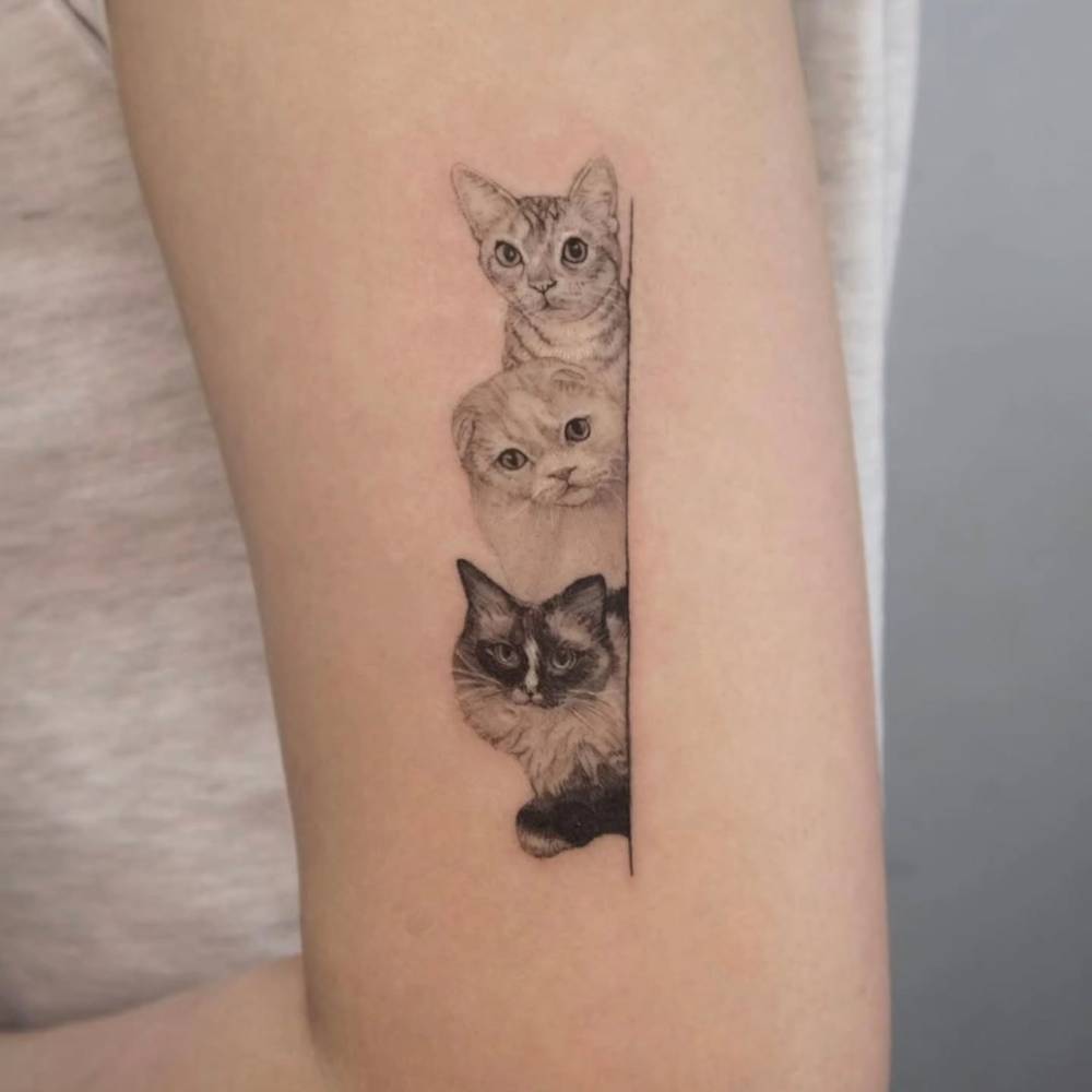 Curious cats tattooed on the upper arm, micro-realistic style.